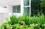 Optima @ Tanah Merah (D16), Condominium #33872